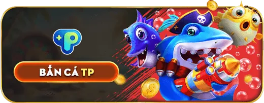Thỏa thuận pháp lý 5mm88